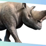 arsinoitherium